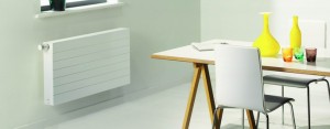 Poza Radiator Purmo Ramo Compact 3
