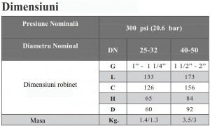 Poza Dimensiuni Robinet de testare si golire DUYAR Y4031