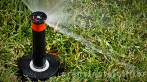 Poza Aspersor static Hunter PRO SPRAY - PROS 06