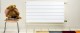 Radiator Purmo Ramo Compact 2