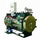 Cazan de abur de joasa presiune FERROLI VAPOREX LVP 600