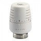 Cap termostat cu comanda si senzor incorporat IVAR T 5000