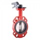 Robinet clapa fluture apa PN16 DN 40